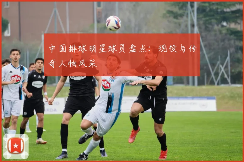 中国排球明星球员盘点：现役与传奇人物风采